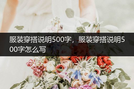 服装穿搭说明500字，服装穿搭说明500字怎么写