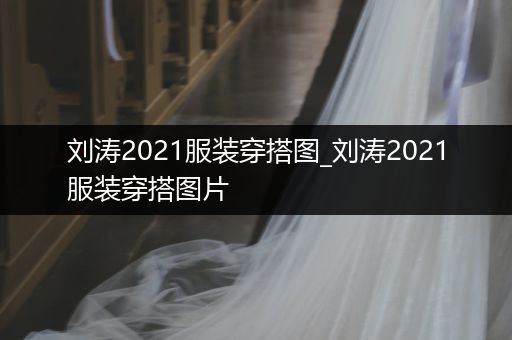 刘涛2021服装穿搭图_刘涛2021服装穿搭图片