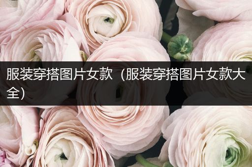 服装穿搭图片女款（服装穿搭图片女款大全）