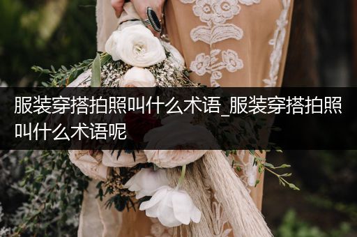 服装穿搭拍照叫什么术语_服装穿搭拍照叫什么术语呢